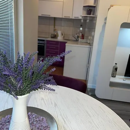Stan Na Dan Mima شقة Donje Mladice